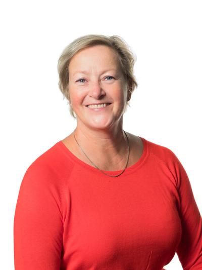 Lähikuva Inkovaarasta