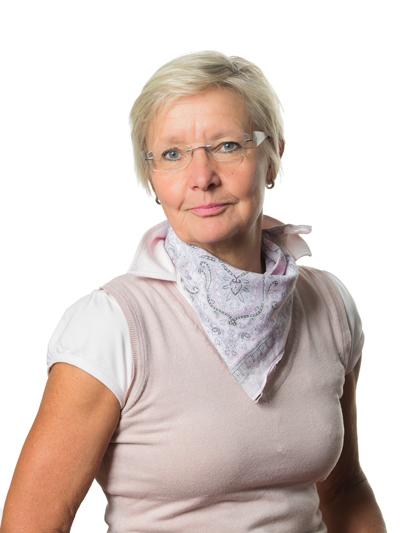 Lähikuva Sunista