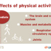 Immediate effects of physical activity.