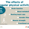 The effects of regular physical activity within a few months.